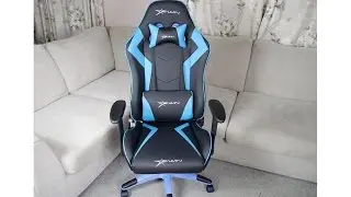 EWin Champion Series Ergonomic Computer Gamin Chair Review