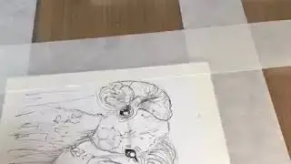 барашек спидеент