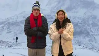 Survivor Applications! Season 11, 2024