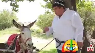 🤦🏻‍♂️😂 Комментарияда хакорат куна капидан