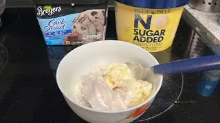 Blue Bell No Sugar VS Breyers Carb Smart Review