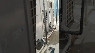12 октября 2024 г.