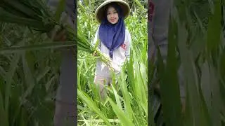 Ngarit Odot - Kehidupan di Desa Harus Serba Bisa