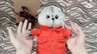 Обзор на Басика 22 см в оранжевой куртке и штанах в полосочку.😼