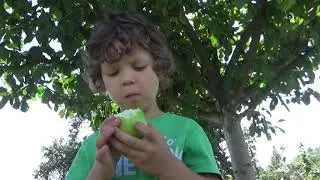 Садовники/Огород засеяли/Где сыну лучше/Деревенские звуки/Беседы с Павлов