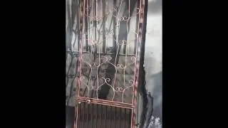 Bina Giriş Kapısı Modelleri