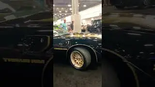 1979 Pontiac Firebird Trans AM 