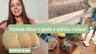 Fomos olhar o gado e Minha rotina!🥰✨️⏳️🤍