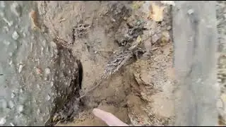закопал слив из бани