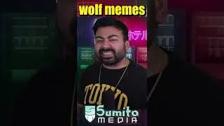 wolf memes