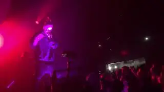pharaoh - дико например live