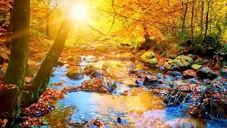 Autumn Leaves  -  Richard Clayderman