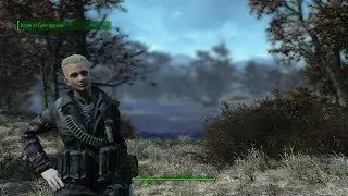 FALLOUT 4 MODS DAVE'S SIMPLE DEPTH OF FIELD