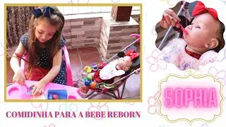 Comidinha para a Bebê Reborn Sophia