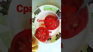 Красный петух-отличный томат!