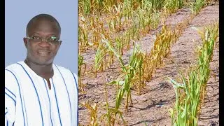 Drought: Gov't moves to aid of farmers in northern, middle belts
