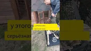 Новая жизнь Вовчика.