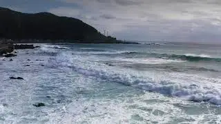 nature video status video// best nature scane sea////
