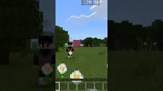 mondongo 👍#dragonballz #goku #minecraft #gokublack#fypシ