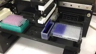 Biotek Precision 2000