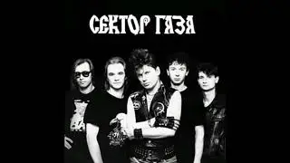 Сектор Газа  Дурак