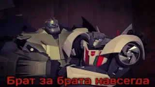 ТФП МАРГО| Трансформеры прайм (брат за брата)