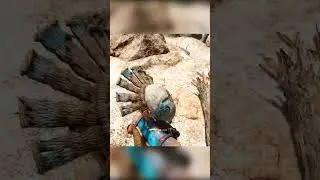 Far Cry Primal Stealth Kills