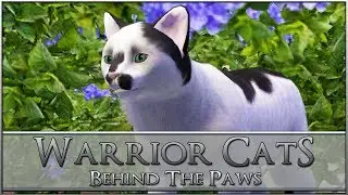 Creating Your WARRIOR Cats!! 🐈🐾 Warrior Cats: Behind-the-Paws