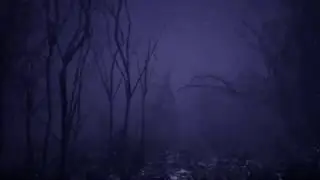 4k WeatherWizard for Unreal Engine 4 Marketplace inside Dark Forest