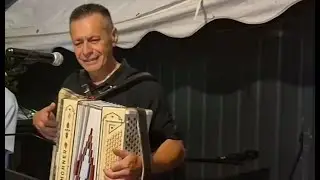 siwy koń