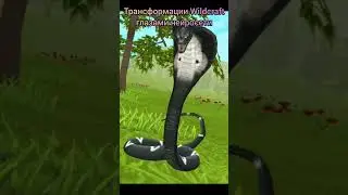 Трансформации Wildcraft глазами нейросети 