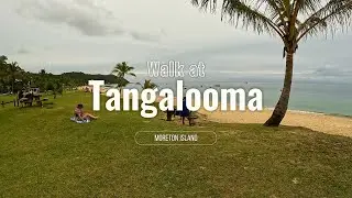 Australia Travel | 4K Walk at Tangalooma Island | Moreton Island | 2023