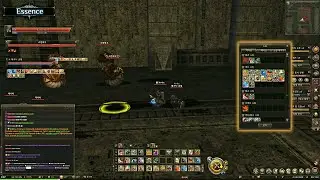 ПРИЧИНА КОТОРАЯ ПОДТОЛКНУЛА 4r4m ДЕЛАТЬ ГАЙДЫ / LINEAGE 2 ESSENCE