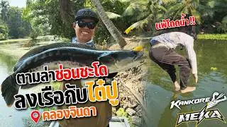 When Master Pu Hormok takes on the role of a fishing guide leading a hunt for snakehead and other...