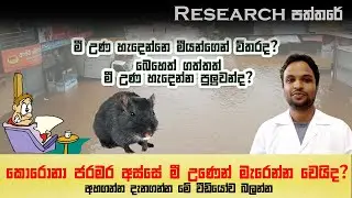 Leptospirosis - මී උණ මාරාන්තිකයි (Sinhala)