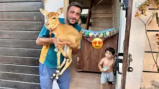 Neel Gaiy Ka Baby Hmary Ghr Agea😍Life Main First Time Dekha