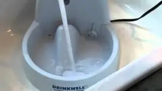 Drinkwell Original Pet Fountain PetSafe в Интернет-зоомагазине ПетСовет http://www.petsovet.ru/