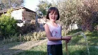 золотое осень собираем шиповник   golden autumn we collect wild rose