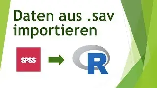 SPSS-Dateien in R importieren