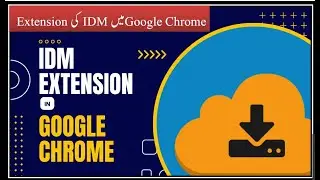 Internet Download Manager Extension in Google Chrome
