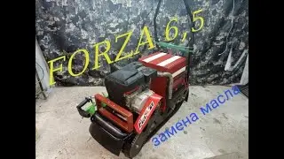 FORZA 6,5 . замена масла на мотобуксировщике .