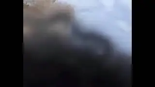 Хасбулла хулиган