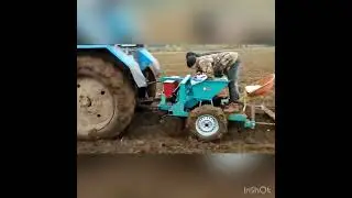 Грязь, дождь не помеха! Посадка чеснока.
