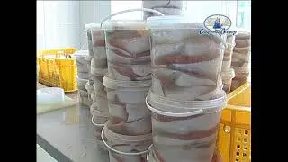 рыбопродукция Соленый Ветер