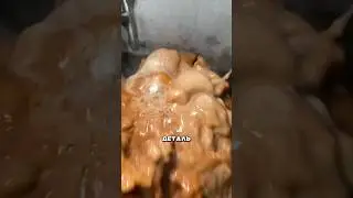 Catalytic converter cleaning 