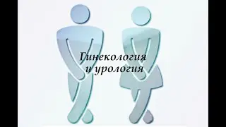 Система Соответствия. Урок 4 (дополнение).