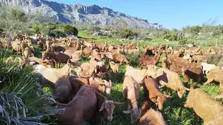 سبحان الله لم أرى من قبل هذا الوادي بهذه الكمية الكبيرة من الماء والشلالات أجواء تريح القلب