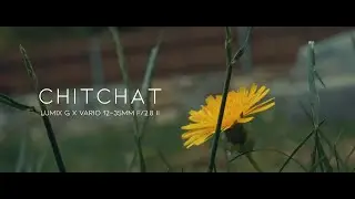 Chitchat (HD) (GH5 + Lumix G Vario 12-35mm f/2.8 ii)