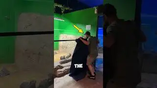 This otter was left by his favorite zookeeper 🥺💔 