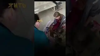 Спасение маленького лосенка-сироты из горящего леса@shortszoozhit#пожар #животные #спасение #лосенок